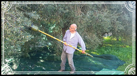 4855cb11c0c1f628904fff64db64a5cdf15796fb