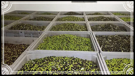 a658b62b111625b5b8223a3d8c89d77d82430425