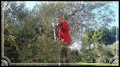 e2dd559d8b972c152126af7b74f4e6475458c866