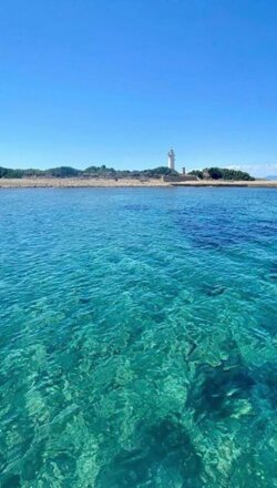punta-licosa-castellabate-dooid-768x752