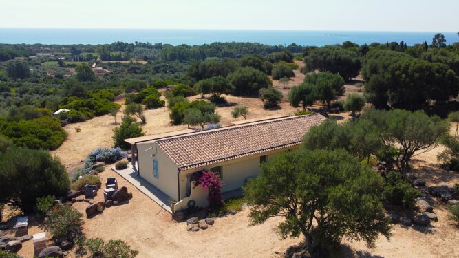 dji_0792.jpeg