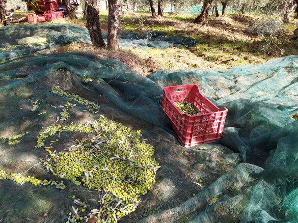 img_20201020_112225.jpeg img_20201020_112225.jpeg