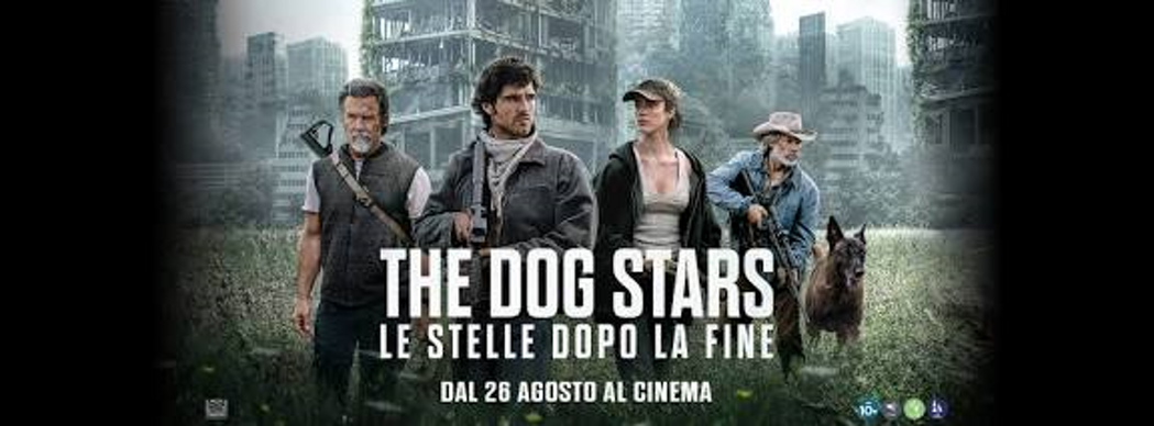 the dog titolo ok the dog titolo ok