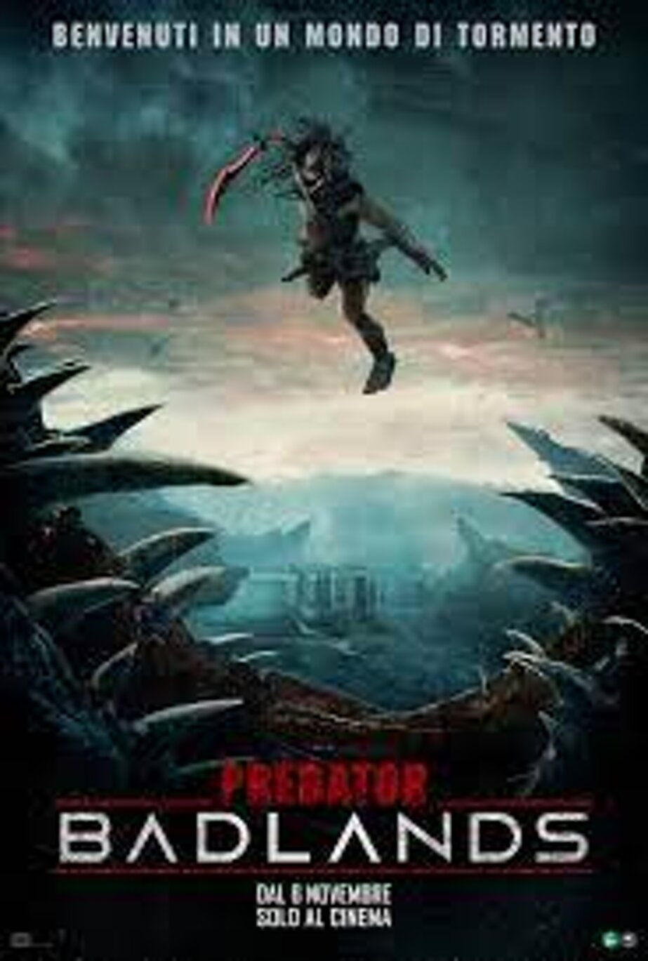predator ok.jpeg