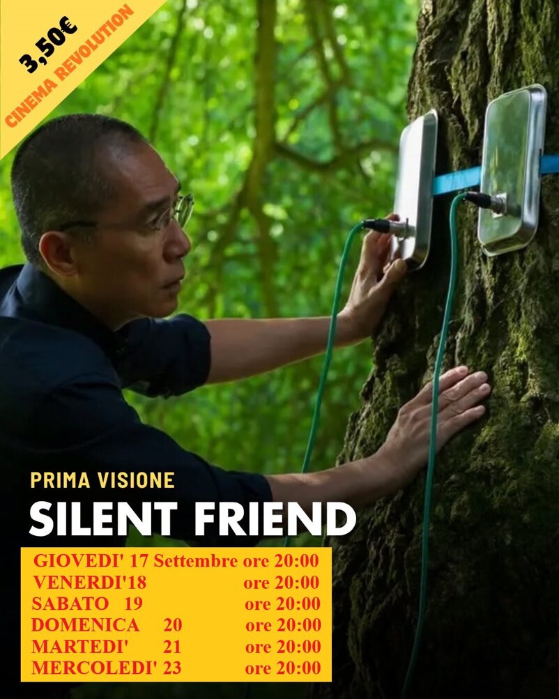 silent friend cell con orari.jpeg
