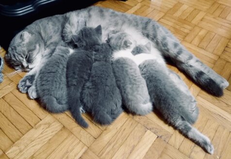 de4bbca0cc548afcdb0d4d39d9a11b91c236904d de4bbca0cc548afcdb0d4d39d9a11b91c236904d