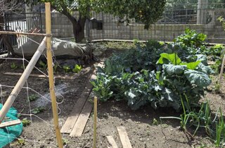 whatsapp%20image%202026-03-24%20at%2016.00.02.jpeg whatsapp%20image%202026-03-24%20at%2016.00.02.jpeg