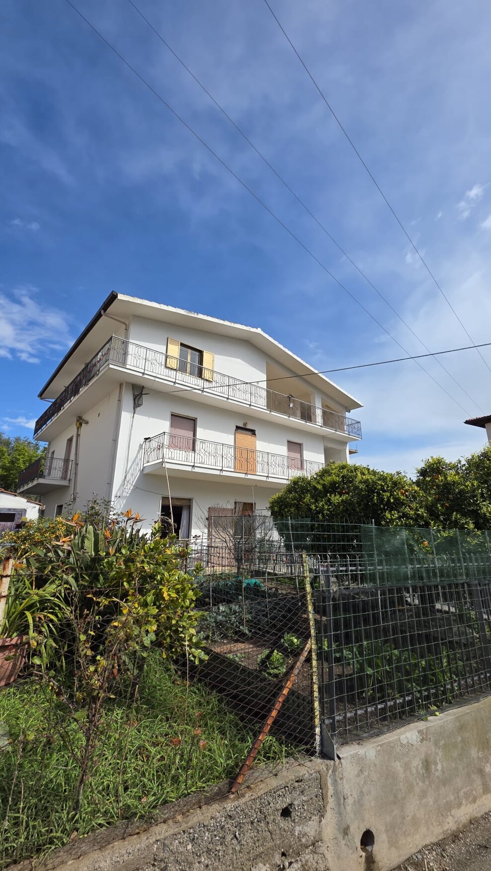 whatsapp image 2026-03-24 at 16.00.01 (1).jpeg