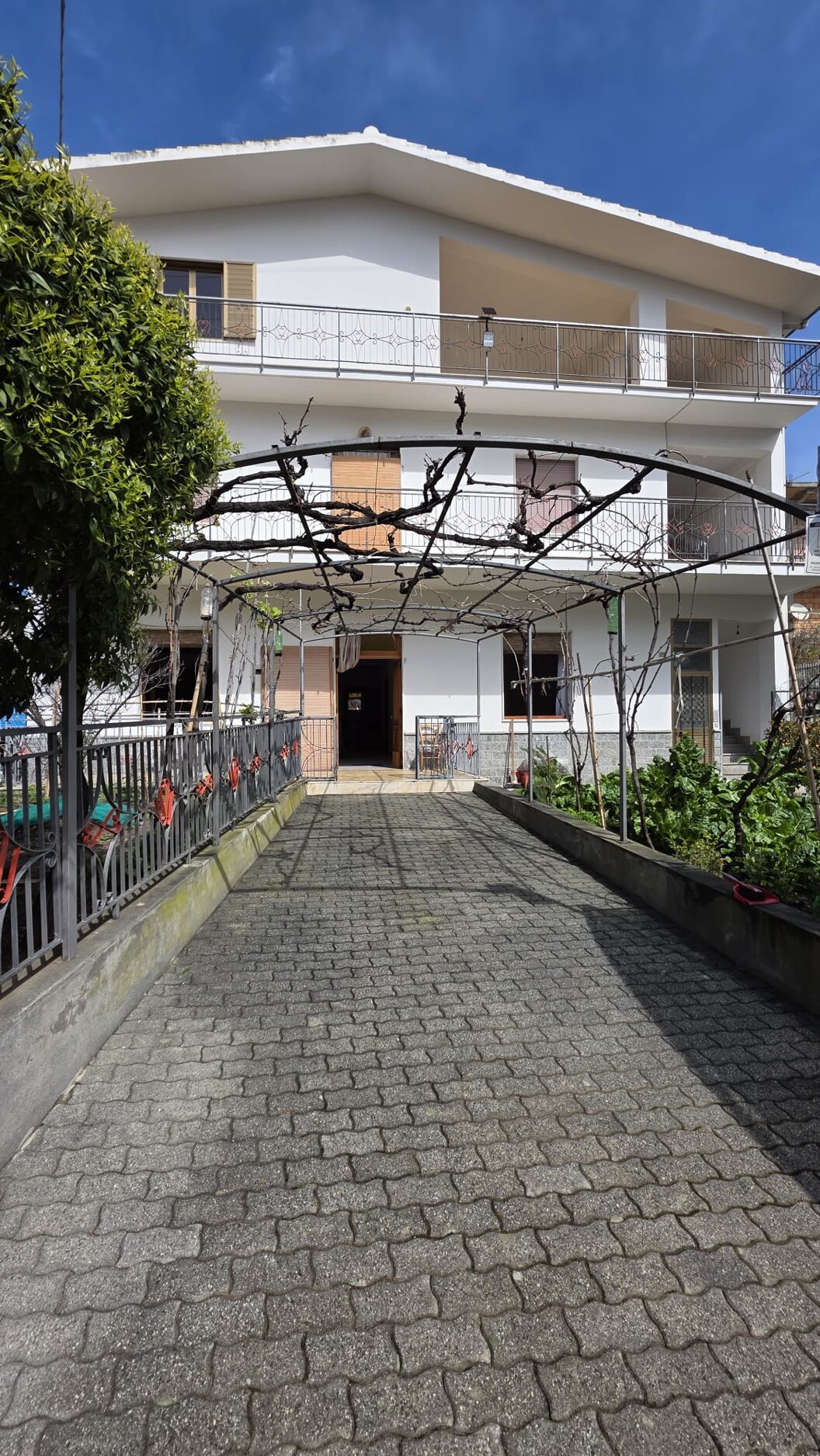 whatsapp image 2026-03-24 at 16.00.02.jpeg