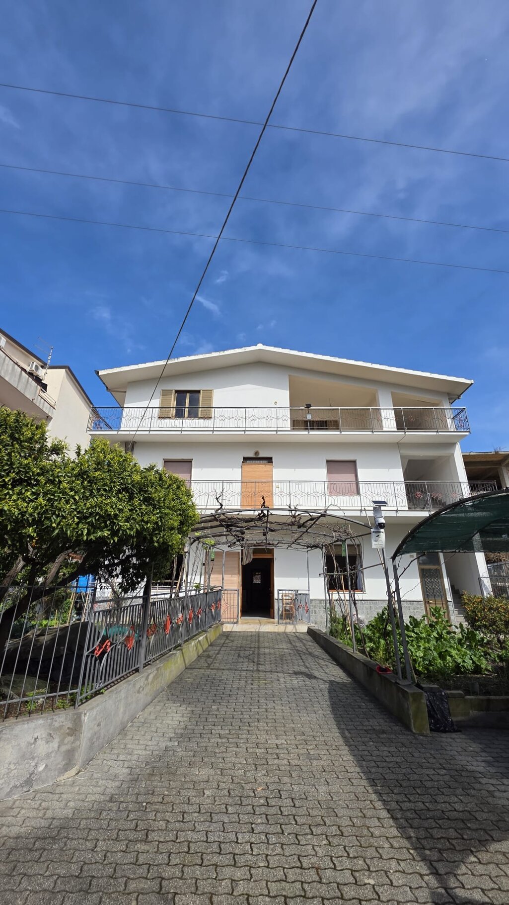 whatsapp image 2026-03-24 at 16.00.01 (2).jpeg