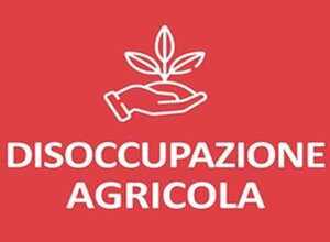 immagine3.jpeg immagine3.jpeg