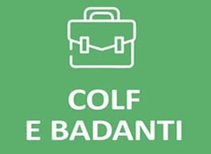 immagine4.jpeg immagine4.jpeg