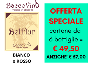 baloss%20-%20cartone%206%20ii° baloss%20-%20cartone%206%20ii°