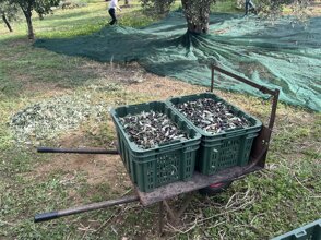 img_7007.jpeg