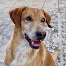 23ad7a2e84b44bdd88fd3bf7b5831fc56ad5194a 23ad7a2e84b44bdd88fd3bf7b5831fc56ad5194a