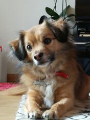 totò arcaservice.jpeg totò arcaservice.jpeg