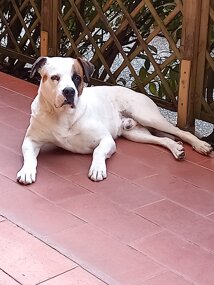 zeus arvaservice.jpeg