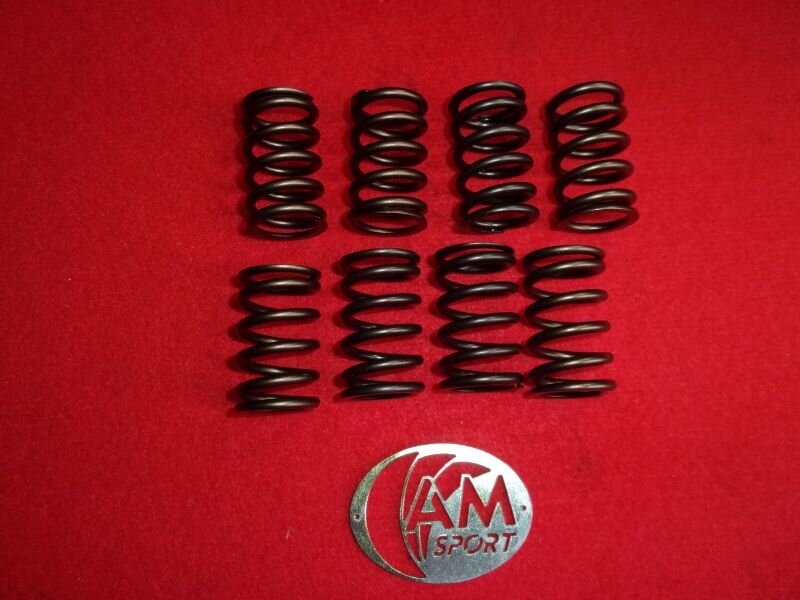 molle-valvole-esterne-fiat-cinquecento-trofeo