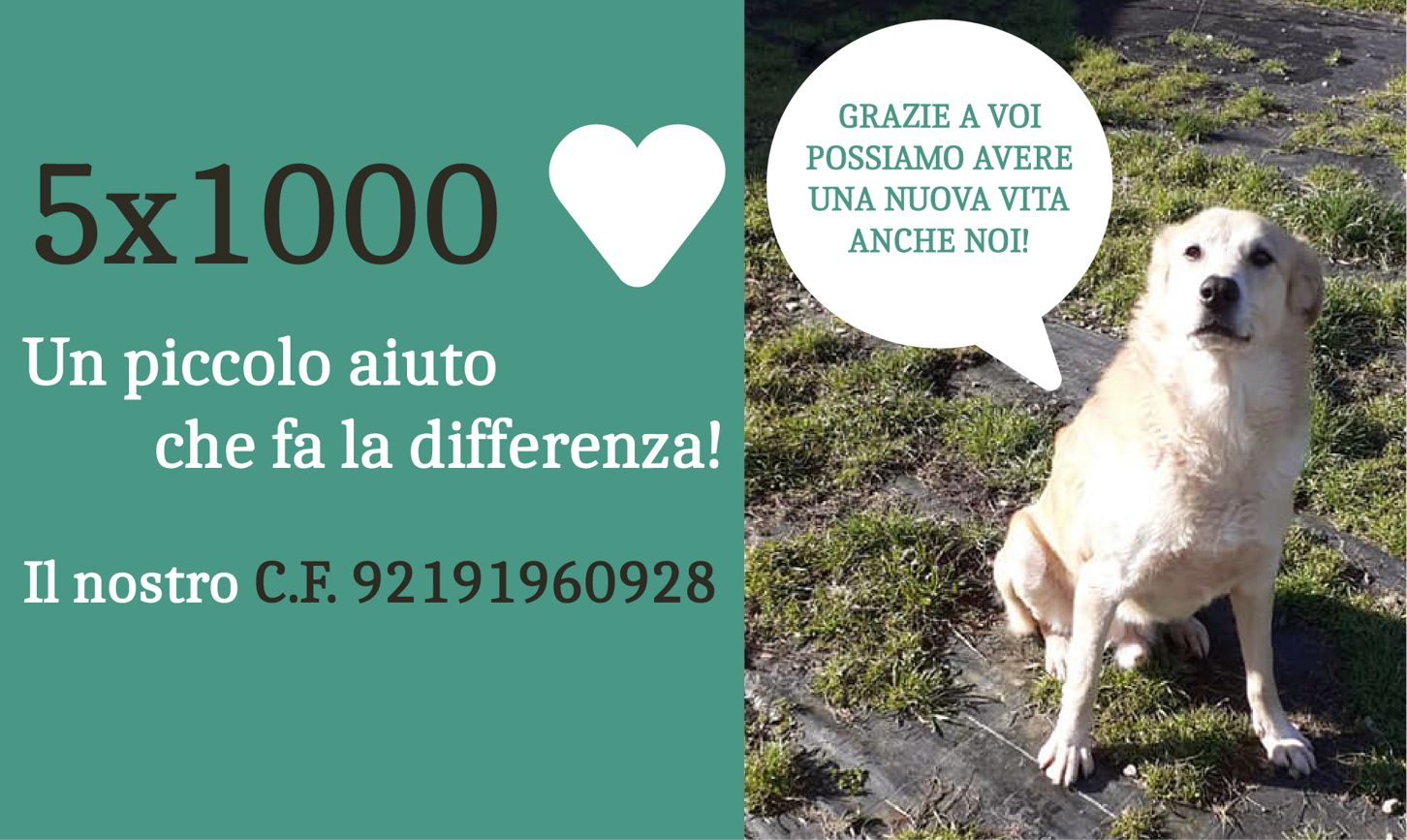5x1000 x sito_2023-01