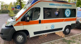 Ambulanze Veterinarie Azzurre