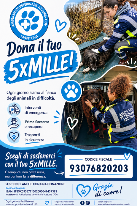 5x1000 2026 corretta