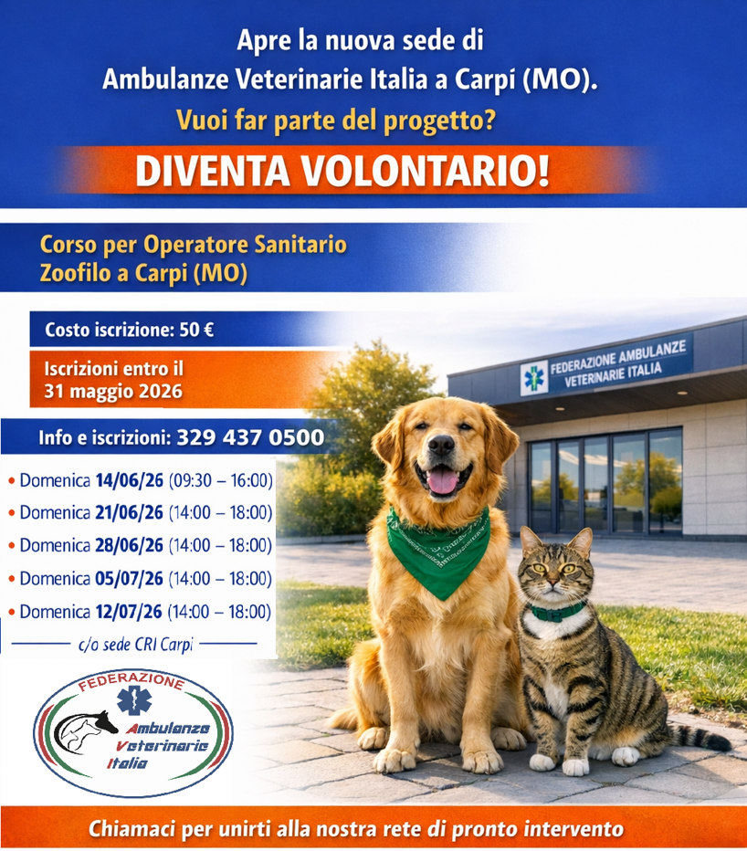 locandina corso carpi avi