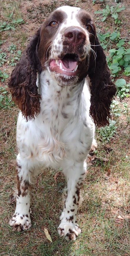 mia (5).jpeg