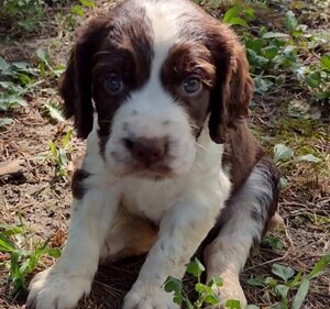 frida%20giotto%20belle%20elio%20(22).jpeg