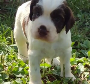 frida%20giotto%20belle%20elio%20(14)-001.jpeg