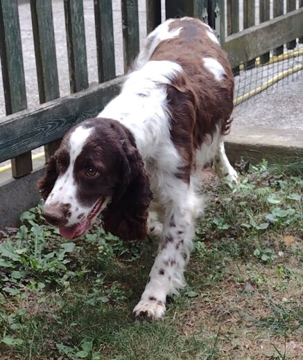 belle (4).jpeg
