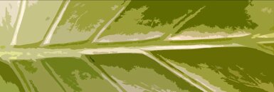 97be29f92815fa0e4e21fc278c63c7fbec734a71