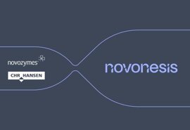 novonesis.jpeg