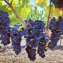 773b4249761a1179b19738e53b7634b0d8d0b9d4