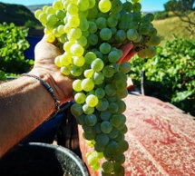 c5bb9cd8a0e89d4b28acb6627365295f494b1250