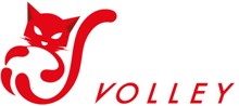 logo contorno bianco