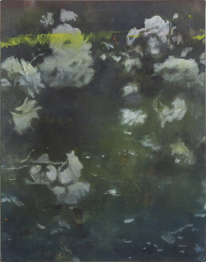 dalla serie la natura disobbediente, dentro al giardino7, (nel fodo un volto) bitume olio e carboncino su tela 46x33cm .jpeg