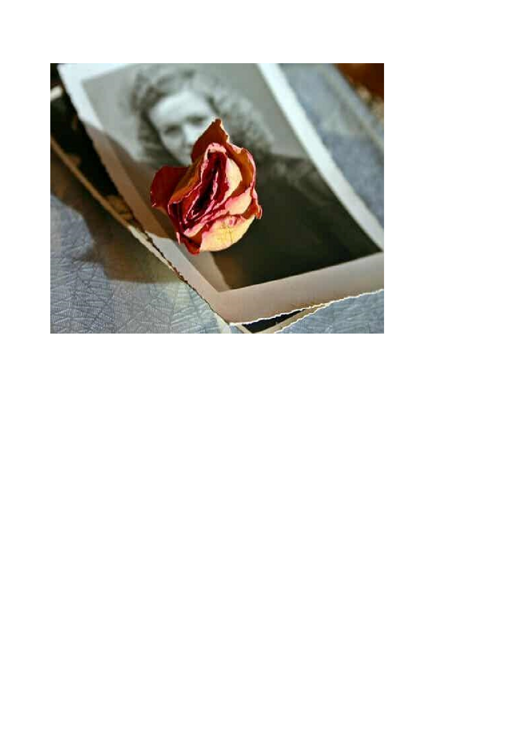rosa1