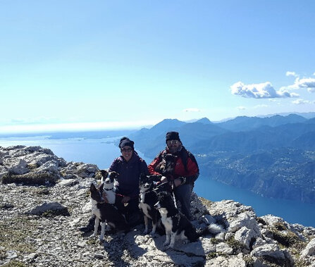 965feac6b6000ac5affdaa3e9878a0084430af5f