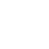 only_white_graphic