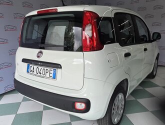 ellegiauto-marche-2