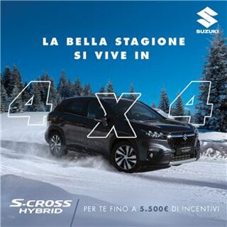 ellegiauto-marche-2 ellegiauto-marche-2