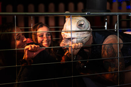 scare zone maiale.jpeg