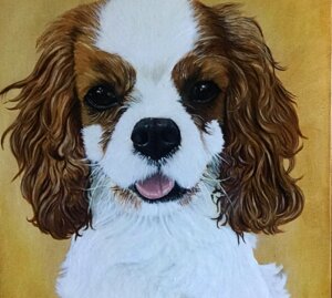 2018 - Olio su tela -50x40cm. Collezione Privata