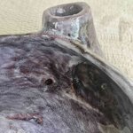 lava-fruttini-vinaccia