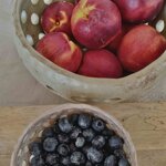 ciotola-colino-salvia