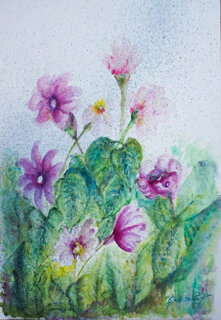 giulia maria pasquetti_2025_4-1.jpeg giulia maria pasquetti_2025_4-1.jpeg