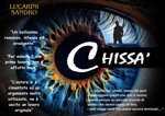 romanzo-chissa