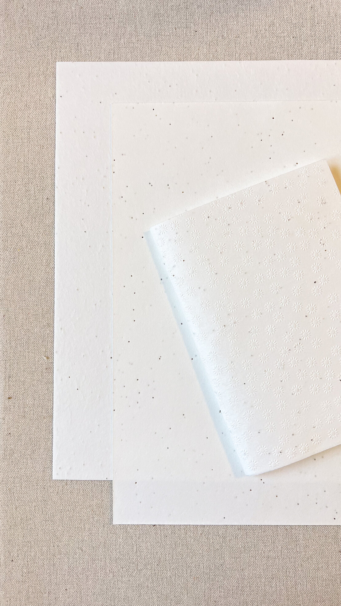 margherite_2_herastudio - carta piantabile.jpeg margherite_2_herastudio - carta piantabile.jpeg