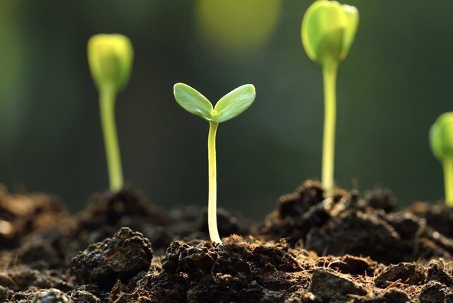 img_9433.jpeg img_9433.jpeg