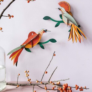 2_decorazione-parete-paradise-bird-obi-herastudio-studio-roof.jpeg 2_decorazione-parete-paradise-bird-obi-herastudio-studio-roof.jpeg